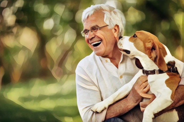 Забота с четырьмя лапами: влияние анималотерапии на благополучие пожилых